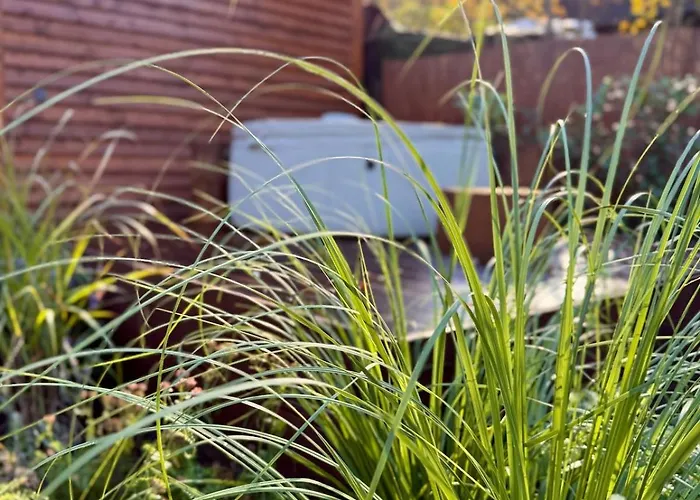 Wellness Trvalka Σπίτι διακοπών Hradišťko